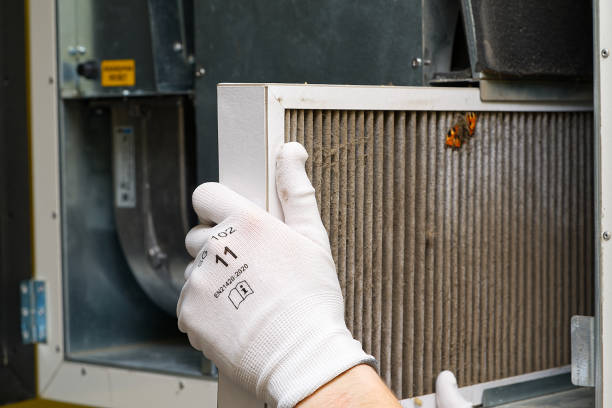 Best Affordable Duct Cleaning Services  in Bazon, CA