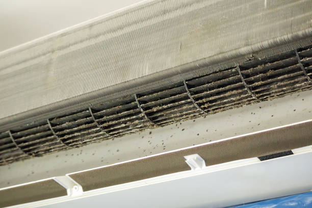 Best Home Air Vent Cleaning  in Bazon, CA
